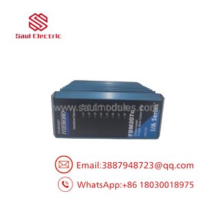 FBM207C P0917GY