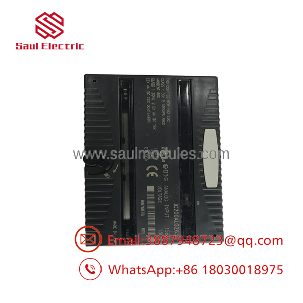 IC200ALG263D