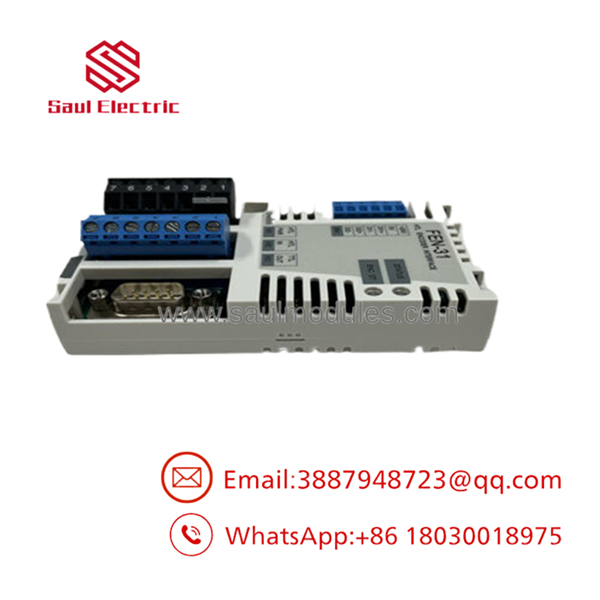 FEN-31