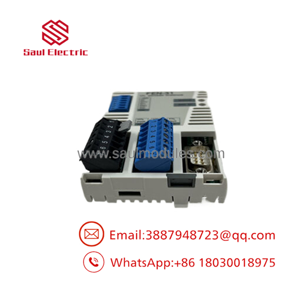 FEN-31