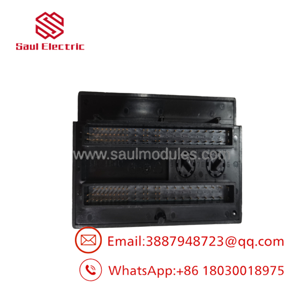 IC200ALG260
