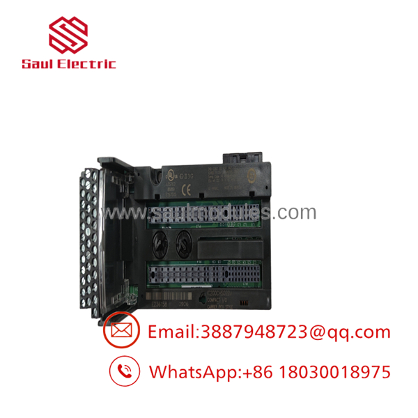 IC200CHS022
