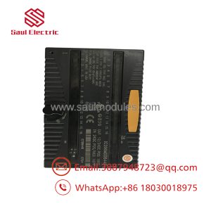 IC200MDD844