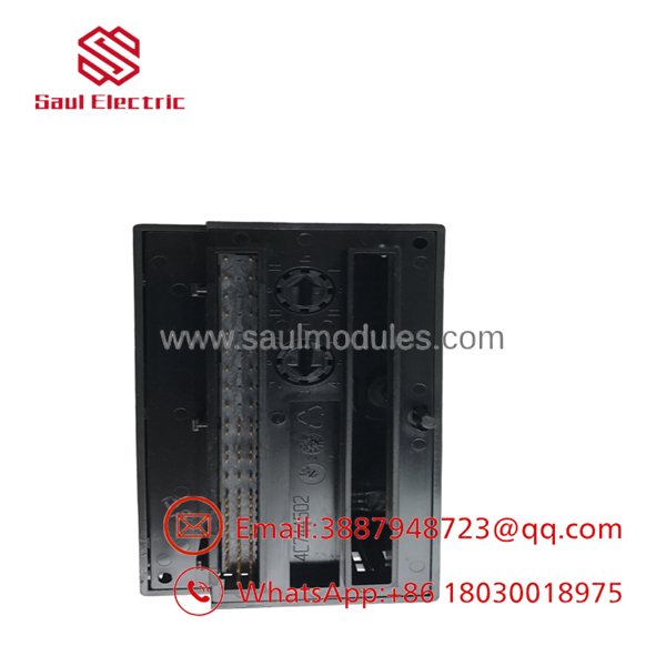 IC200ALG263D