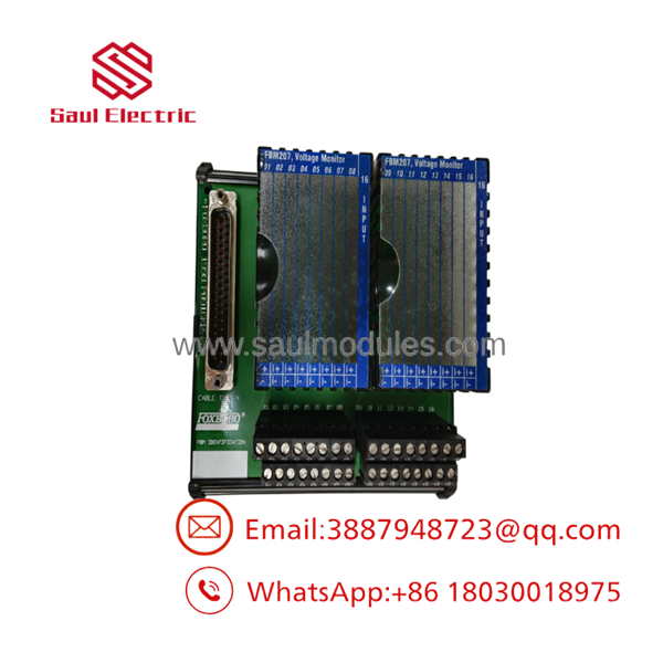 FBM207 P0916PH