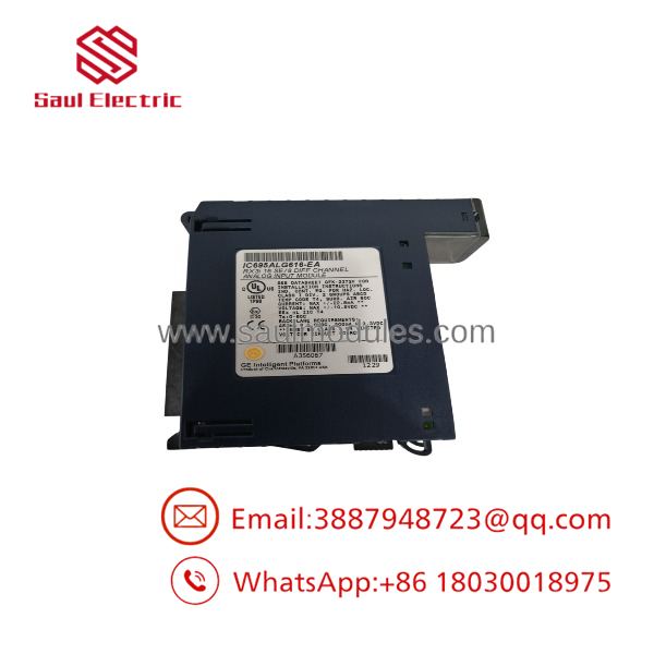 IC695ALG616