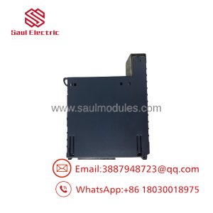 IC695ALG306