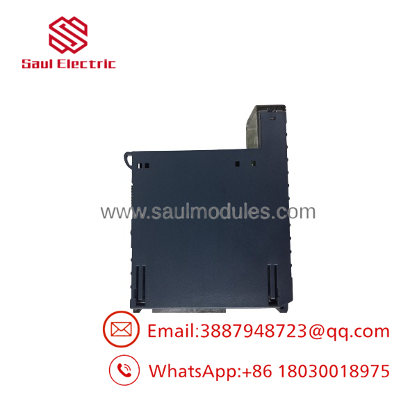 IC695ALG306