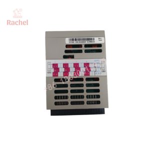 1C31132G01