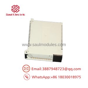 TSXDEY16D2