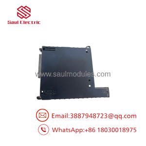 IC695ALG616