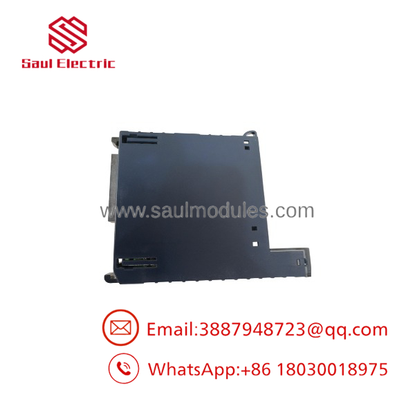 IC695ALG616