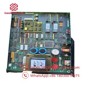 DS215UPLAG1BZZ01A