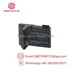IC200CHS022