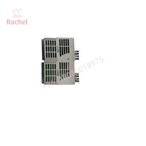 1C31181G01