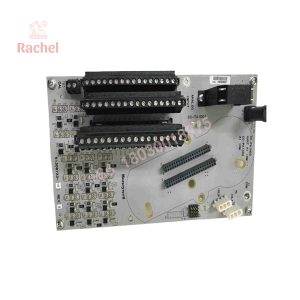 CC-TAID01