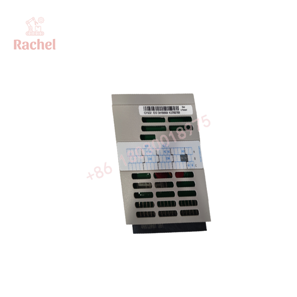 1C31192G01