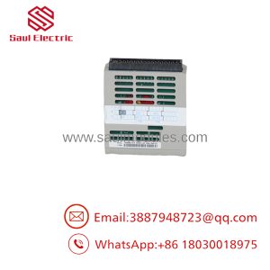 1C31192G01