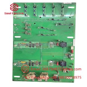 DS200SHVIG1BFC