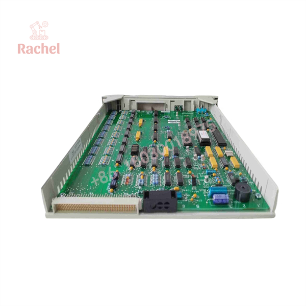 51304485-100