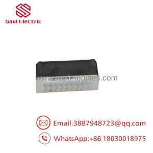1C31238H01