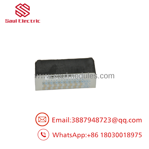 1C31238H01