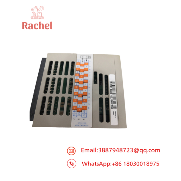 1C31125G01