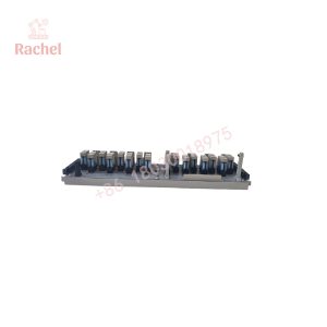 1C31223G01