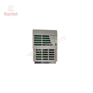 1C31169G02