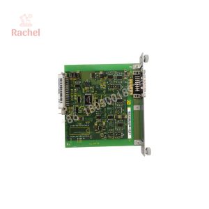 DLF1.1