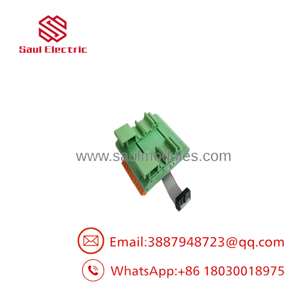 BSL-100
